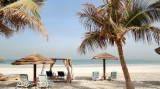 Top 5 Địa Điểm Du Lịch Fujairah Mùa Hè: Nơi Sa Mạc Gặp Đại Dương